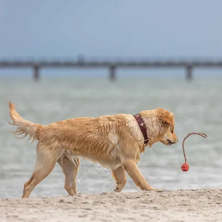 شقة Piratensuite Am Ostseestrand فاستروم